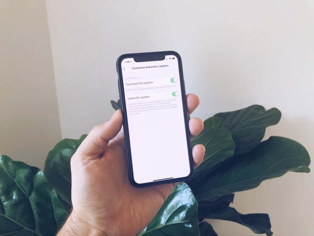 iOS 13.6 beta 2