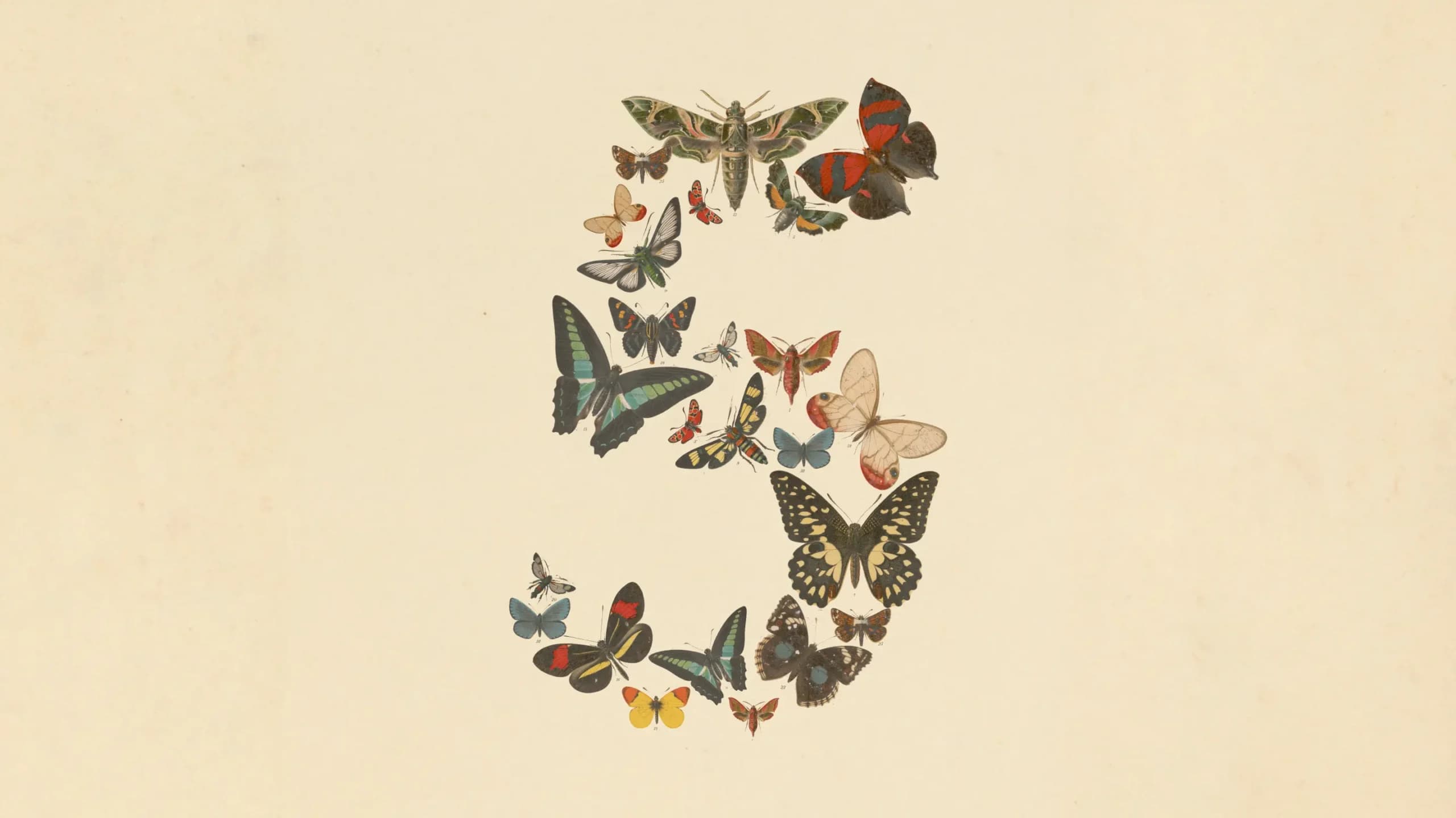 Anthropic släpper Claude Fable 5